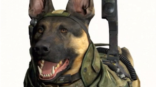 Even Infinity Ward Is Split on Killing <em>Call of Duty</em> Dog